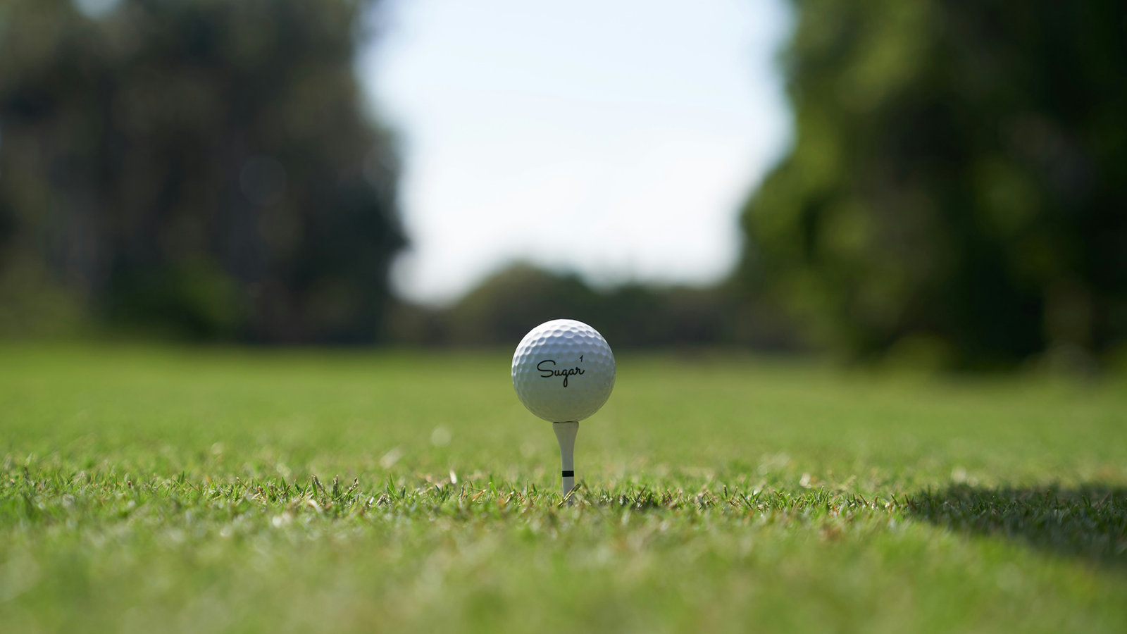 A golf ball on a tee, ready for the next shot